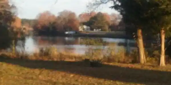 1483 WILTON