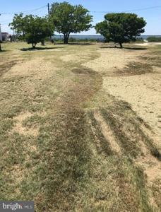 Parcels 9 + 14 TYLERTON ROAD