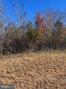 7430 CHICAMUXEN ROAD