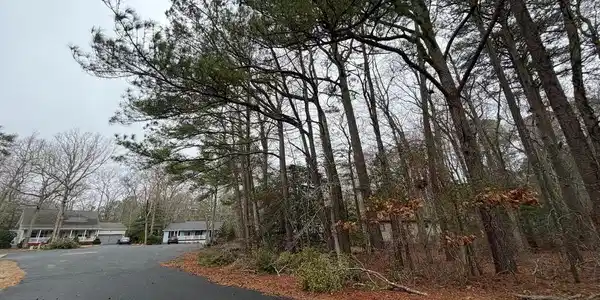 8 SWEET GUM LANE