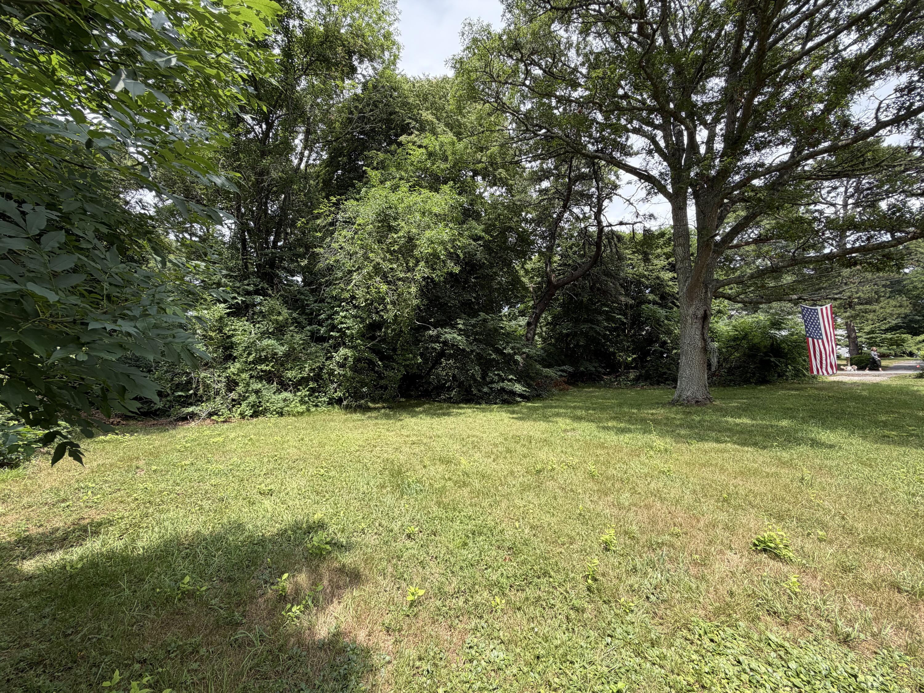 Image 3: IMG_2157