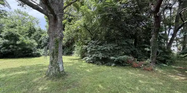 Image 4: IMG_2156