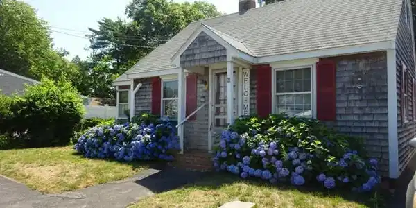 Image 3: DSC09081