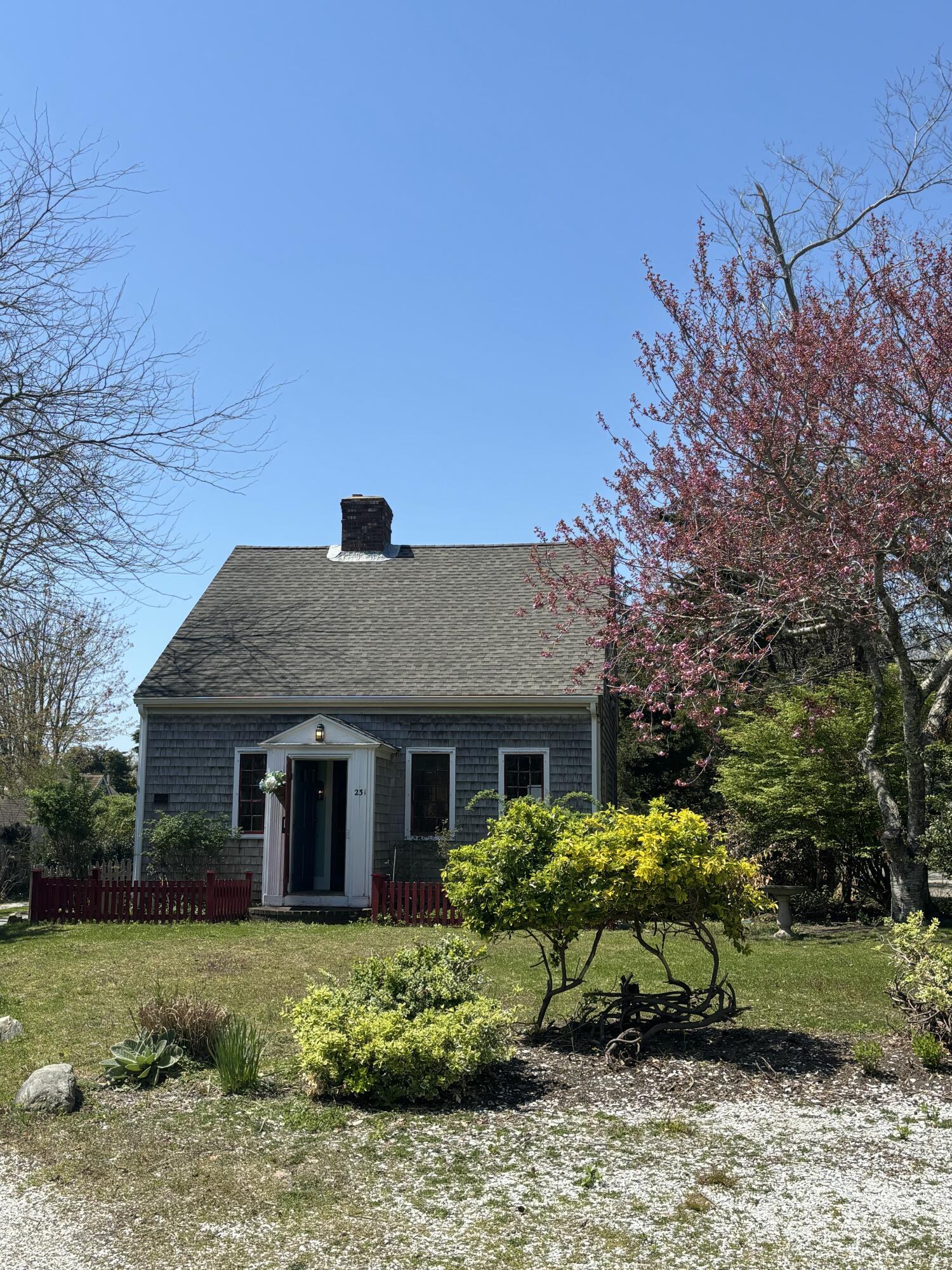 Image 3: IMG_0094