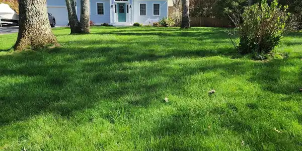 66 Bog River Bend