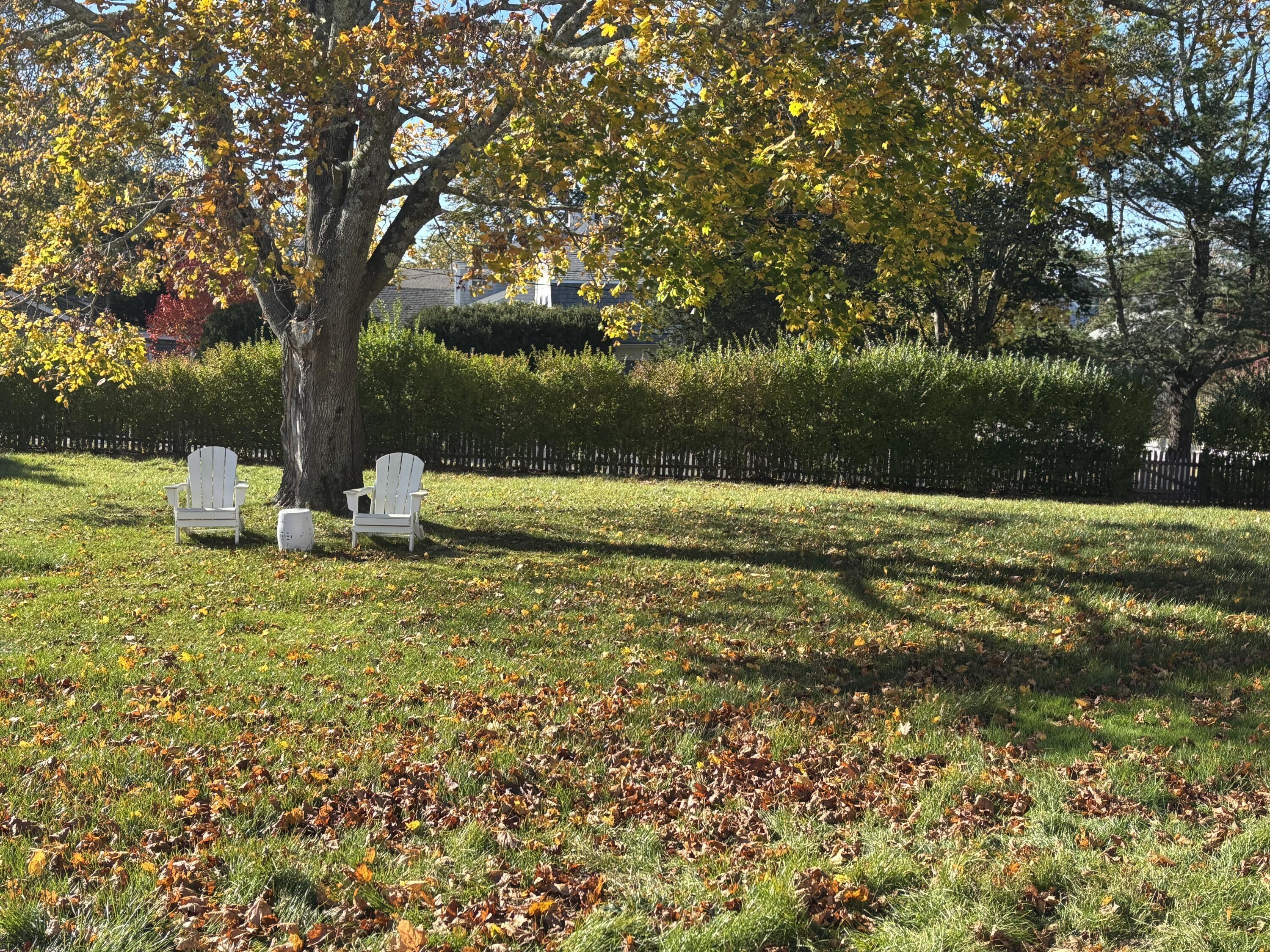Image 3: Yard