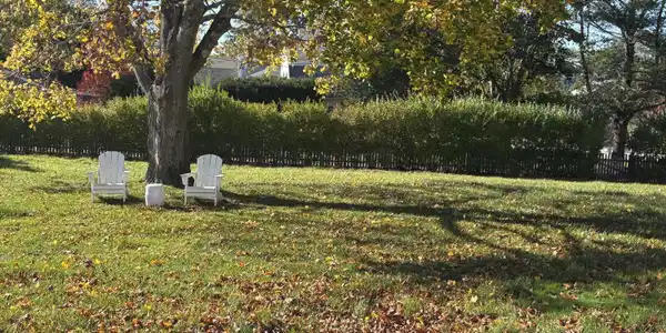 Image 3: Yard