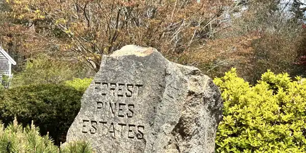 51 Forest Pines Drive