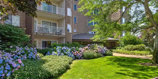 1 Belmont Road Unit APT 315