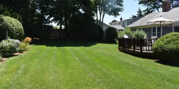 Image 4: Rear yard right side