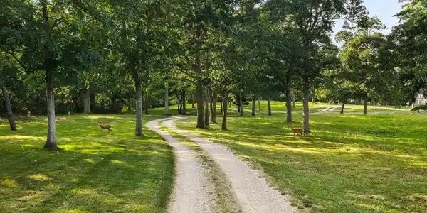 Image 4: 004_dji_20260810173457_0154_d_663