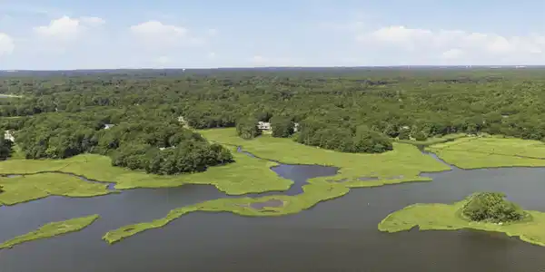 Image 3: DJI_0999