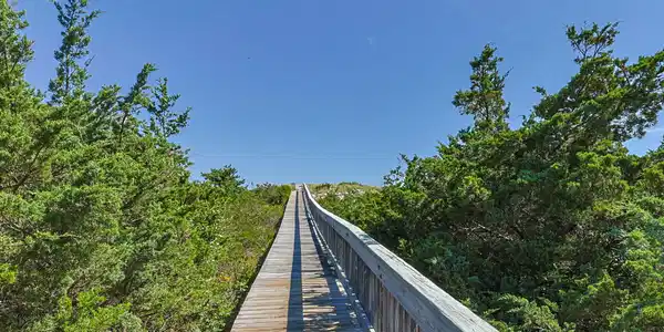 Image 2: 52-web-or-mls-1-captain-towne-rd
