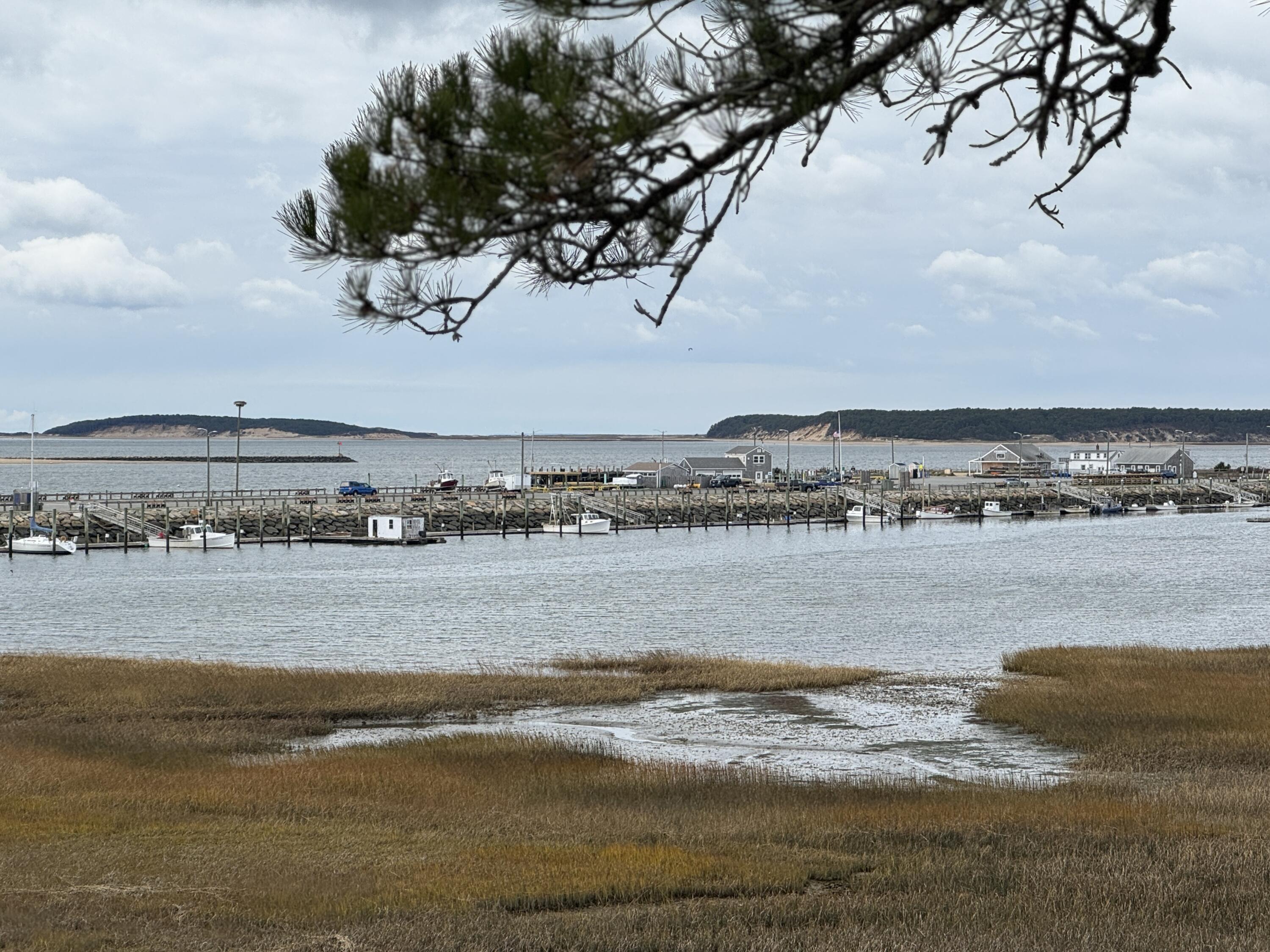 Image 4: IMG_2511