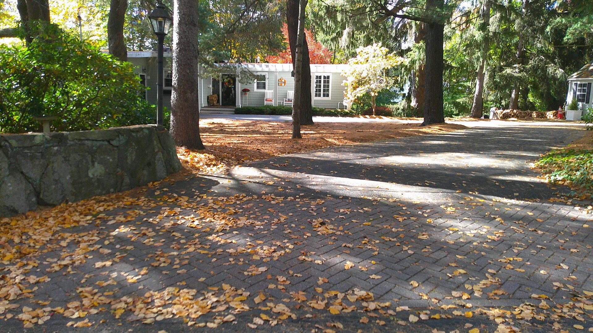 Image 4: front 4