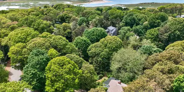Image 3: 6-DJI_20260531124321_0322_D