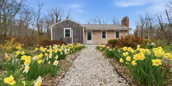 26 Locust Road