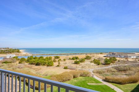 1 Belmont Road Unit APT 341
