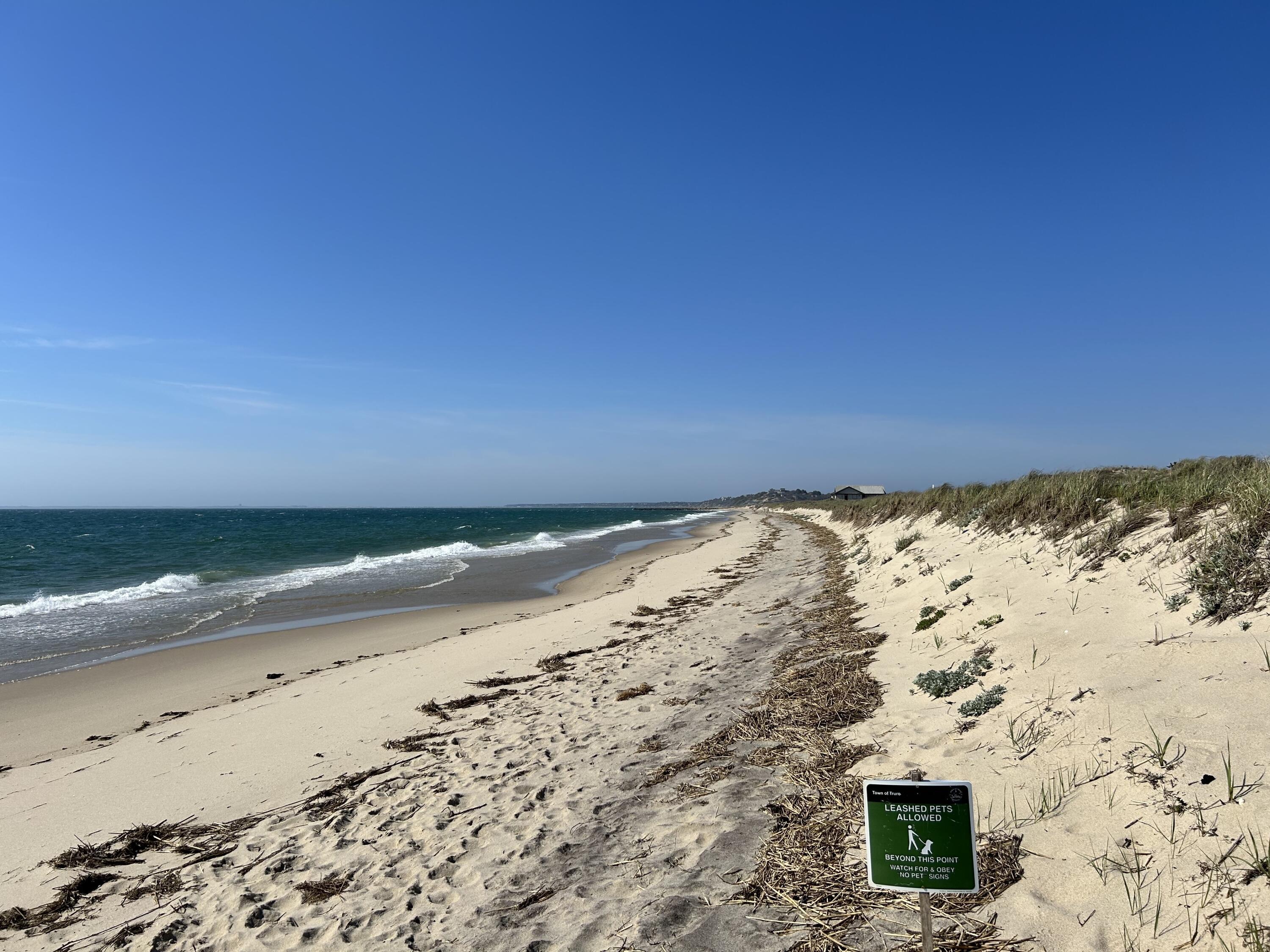 Image 2: Fisherbeach2