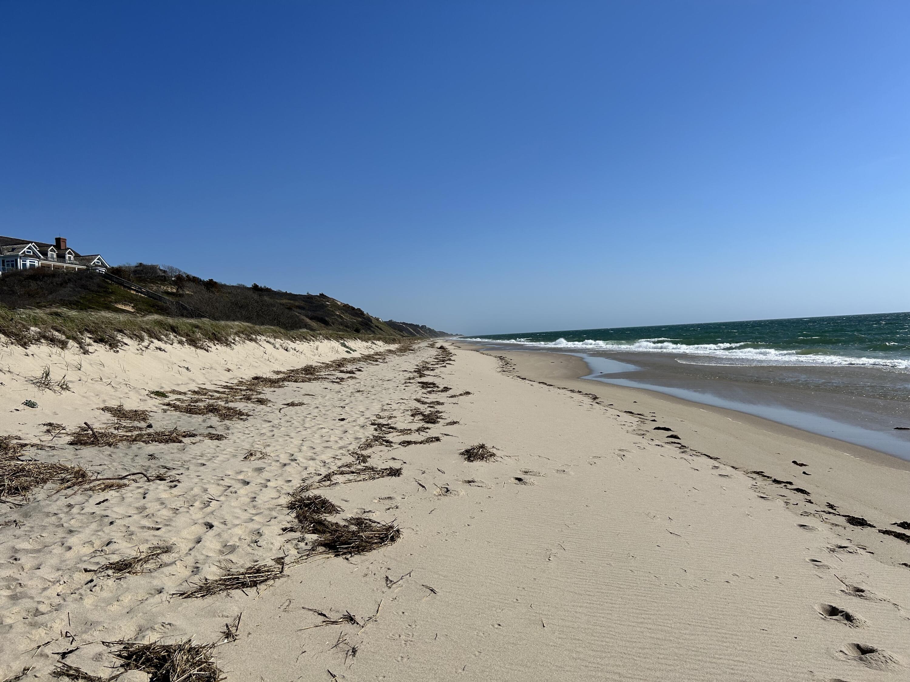 Image 4: beachfisher1
