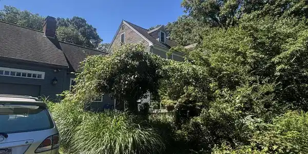 Image 2: 1