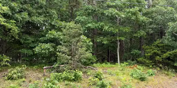 Image 2: 2
