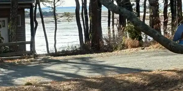 Image 2: 205 Blue Heron - Water View