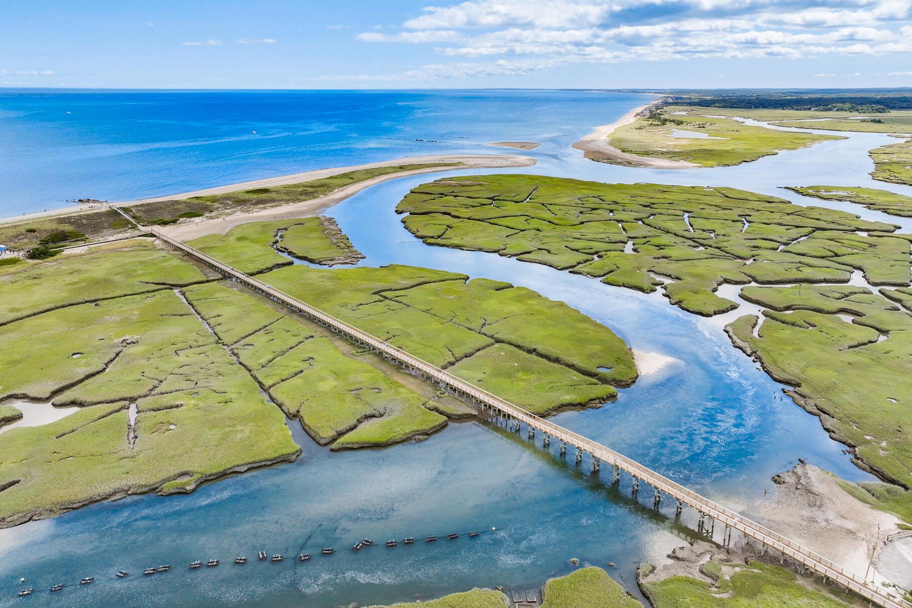 Image 2: DJI_20240822112701_0146_D