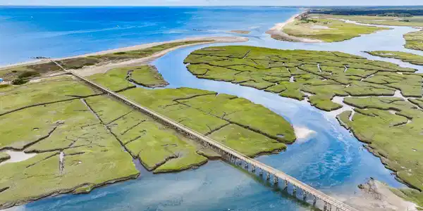 Image 2: DJI_20240822112701_0146_D