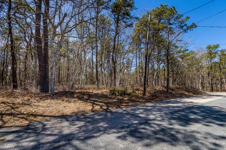 53 Captain Walsh Drive