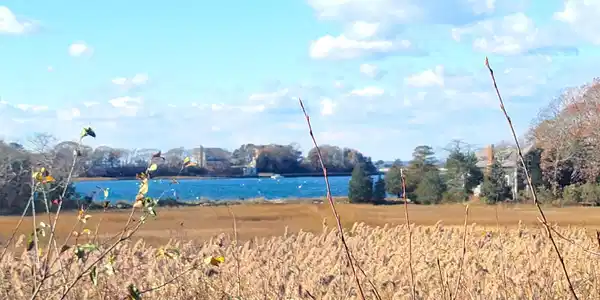 Image 2: Views from across the street
