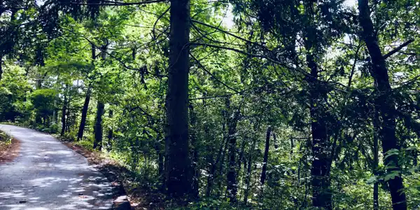 0 Evergreen Lane