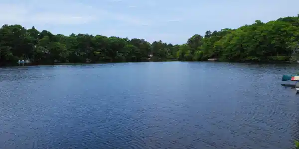 Image 4: mls07