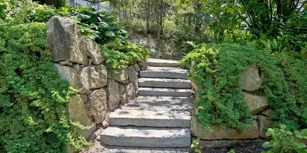 Image 2: 2