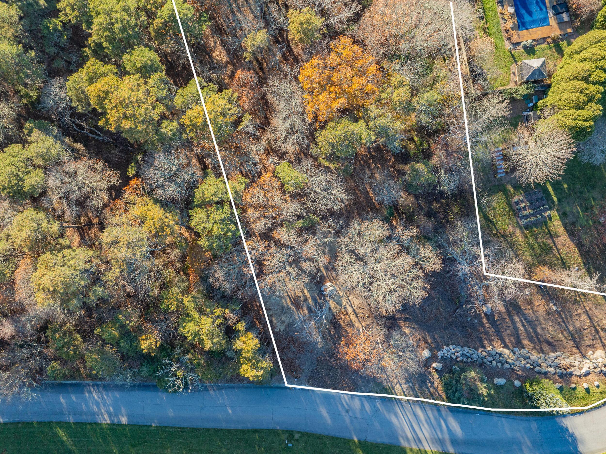 Image 3: Front part in autum outlined