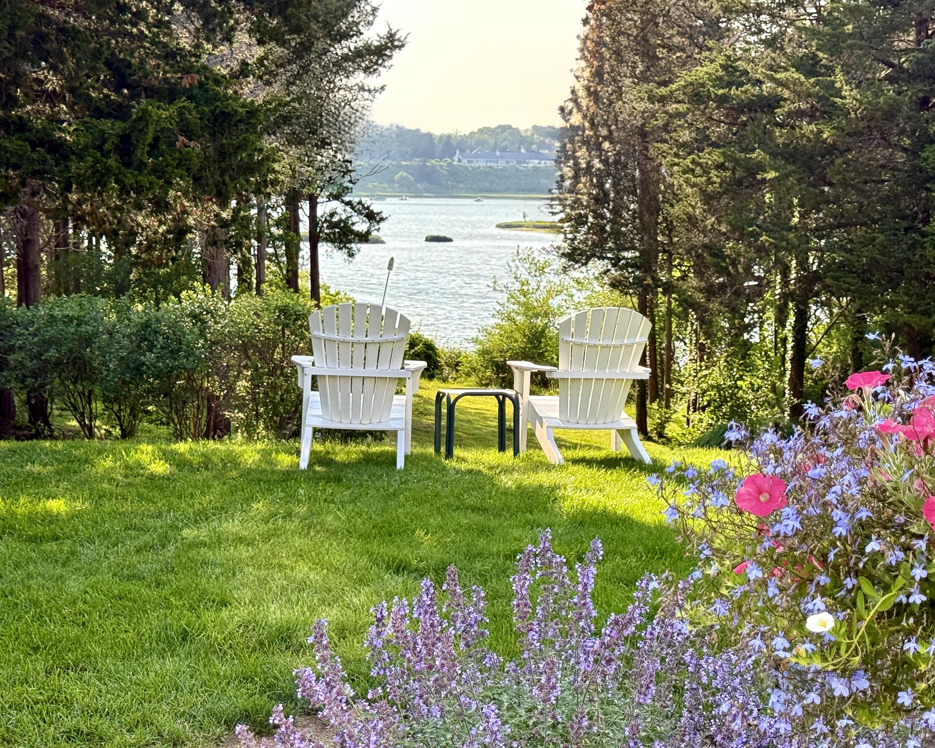 Image 2: Waterfront on Rachel Cove