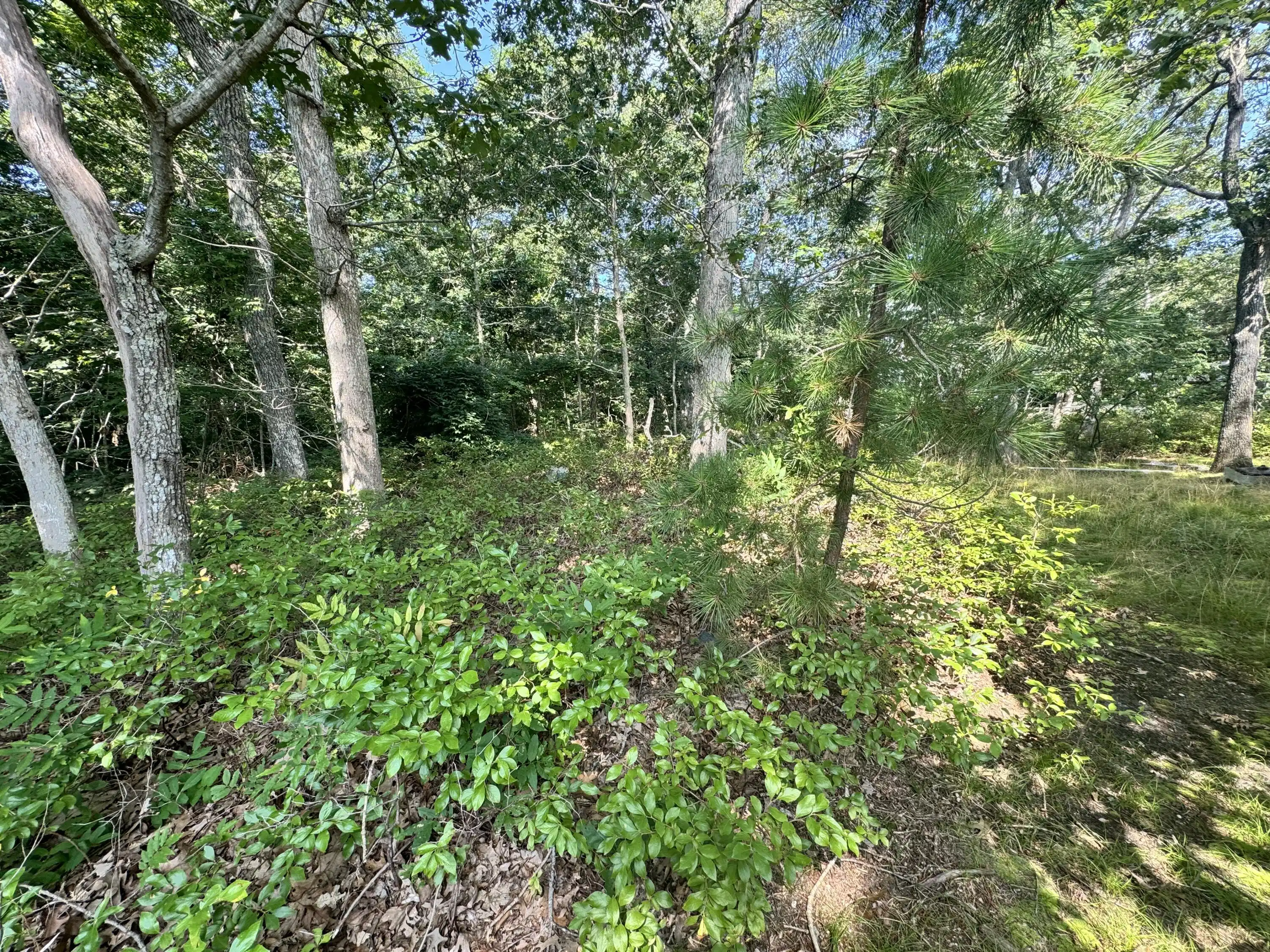 Image 1: 7HighlandAve