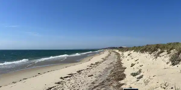 Image 2: Fisherbeach2