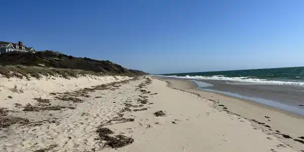 Image 4: beachfisher1