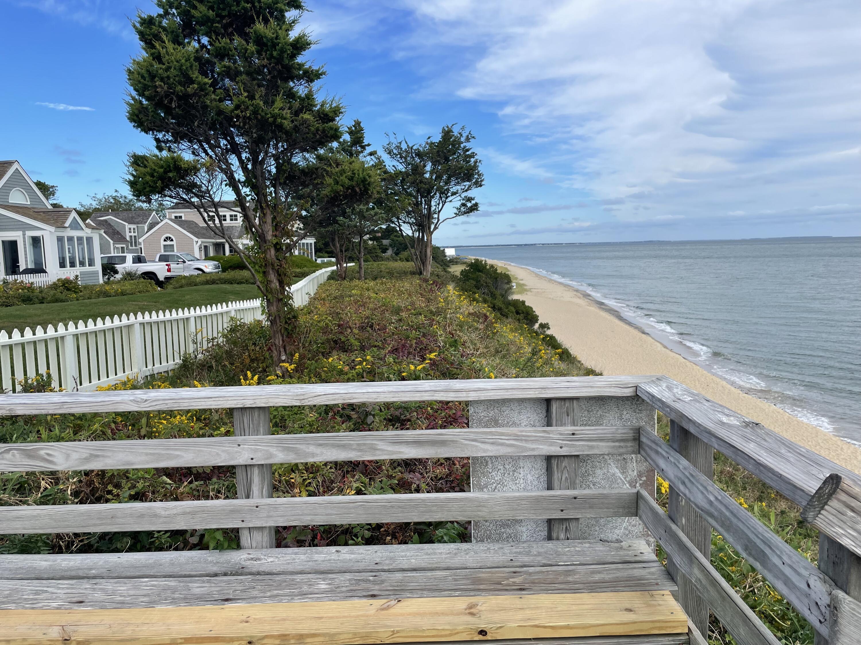 Image 4: IMG_2100