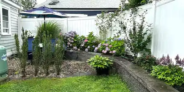 Image 4: Private backyard