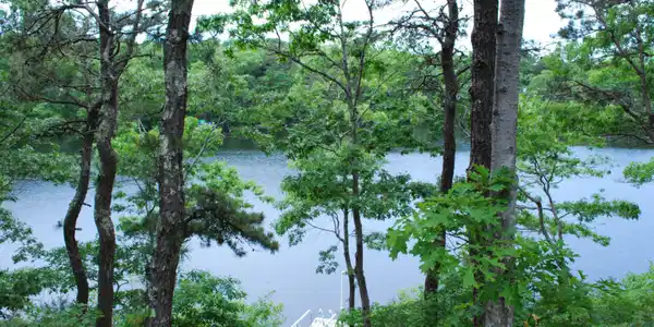 184 Fells Pond Road
