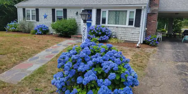 Image 3: IMG_0545