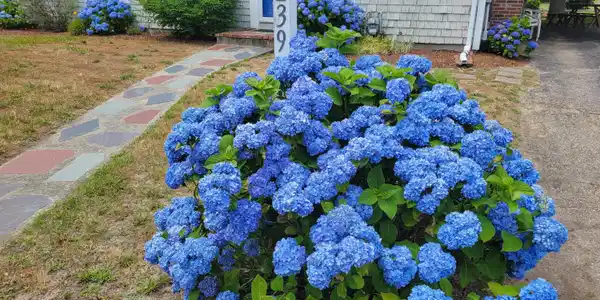 Image 4: IMG_0544