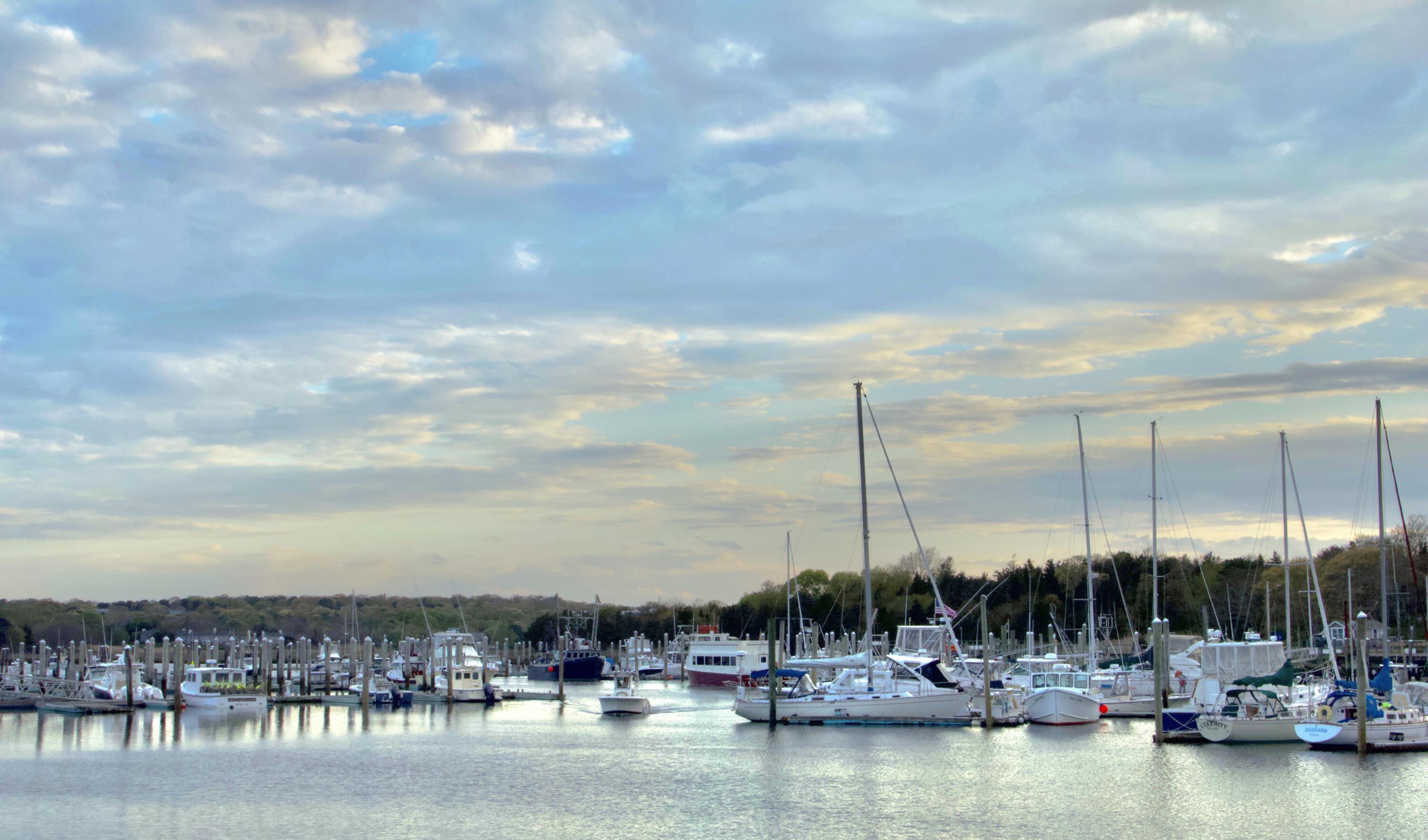 Image 4: Sesuit Marina