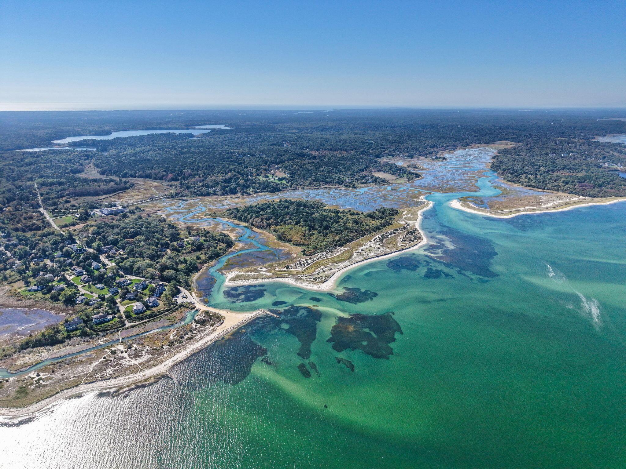 Image 3: 5-web-or-mls-8