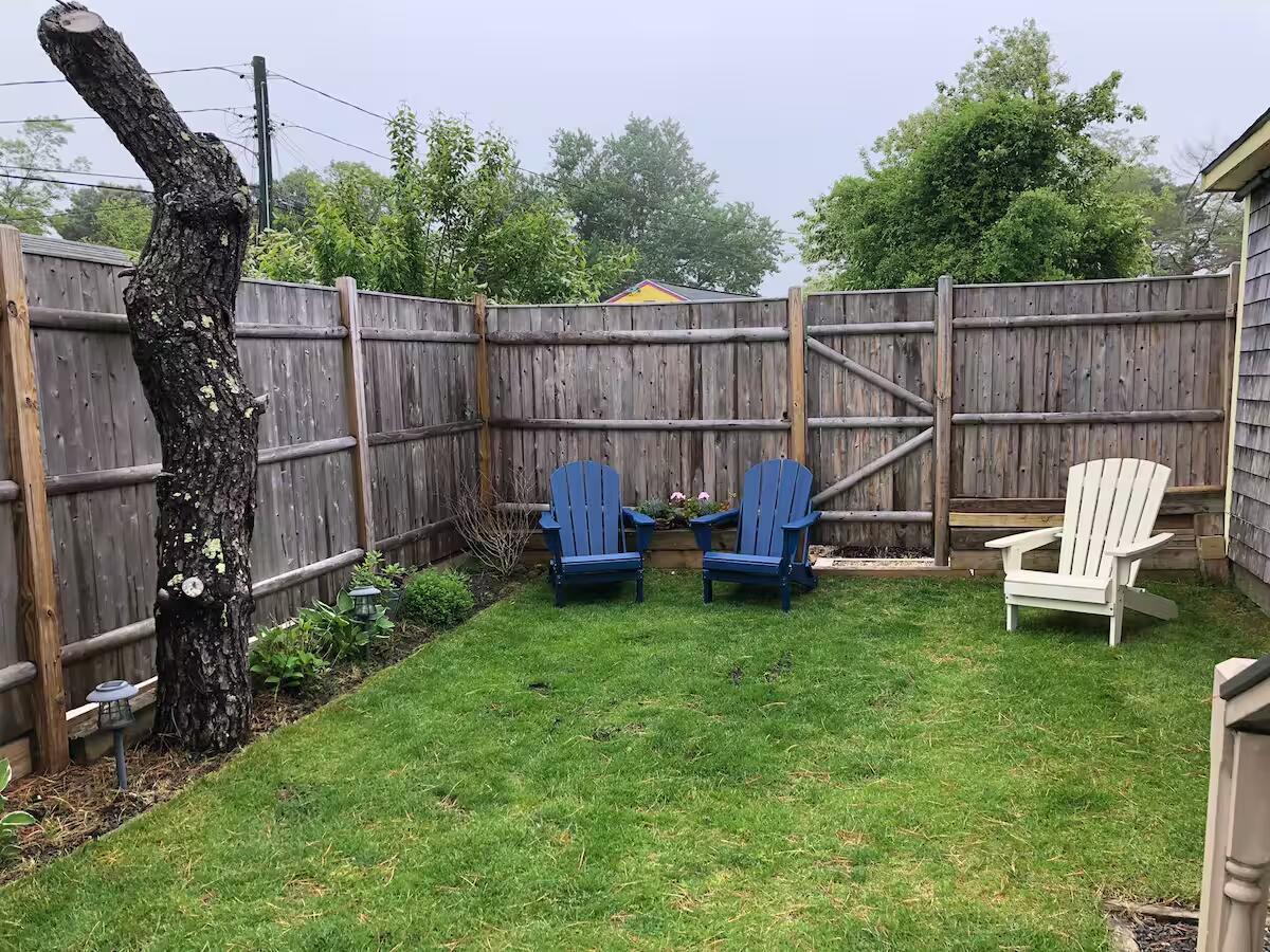 Image 4: backyard