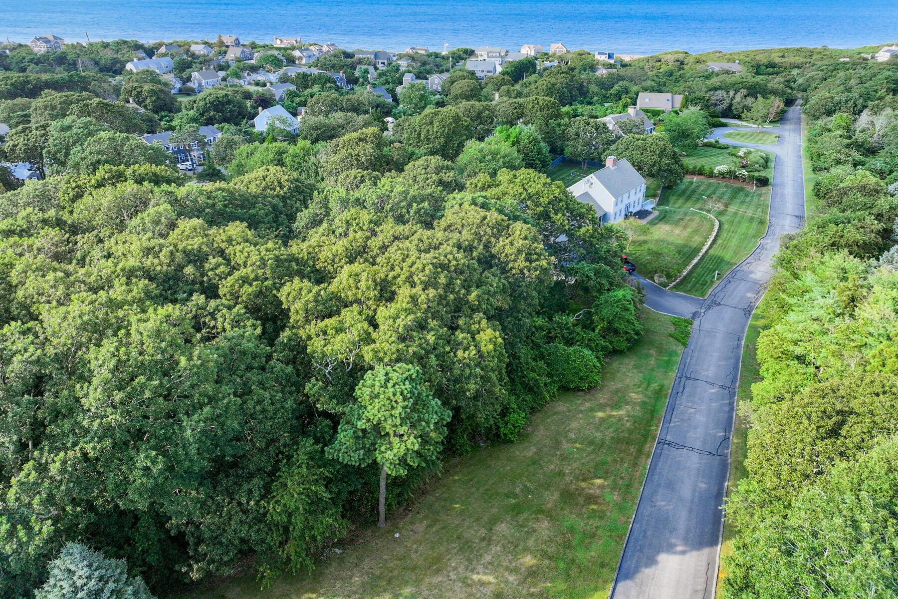Image 4: dji_0466