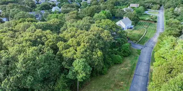 Image 4: dji_0466