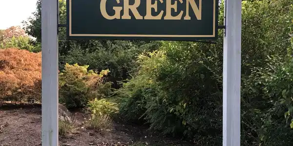 Image 2: Bay Green